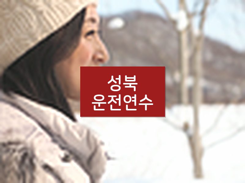 성북운전연수 후기