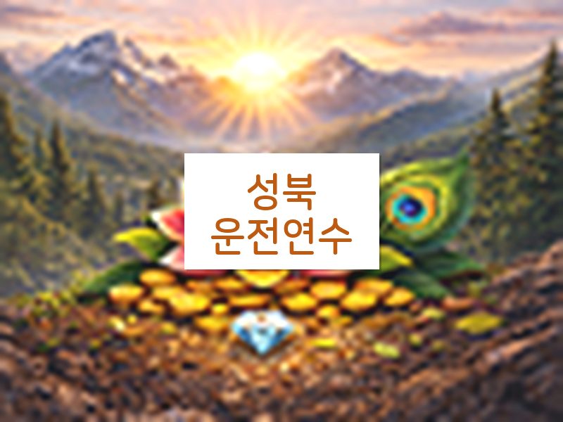 성북운전연수 후기