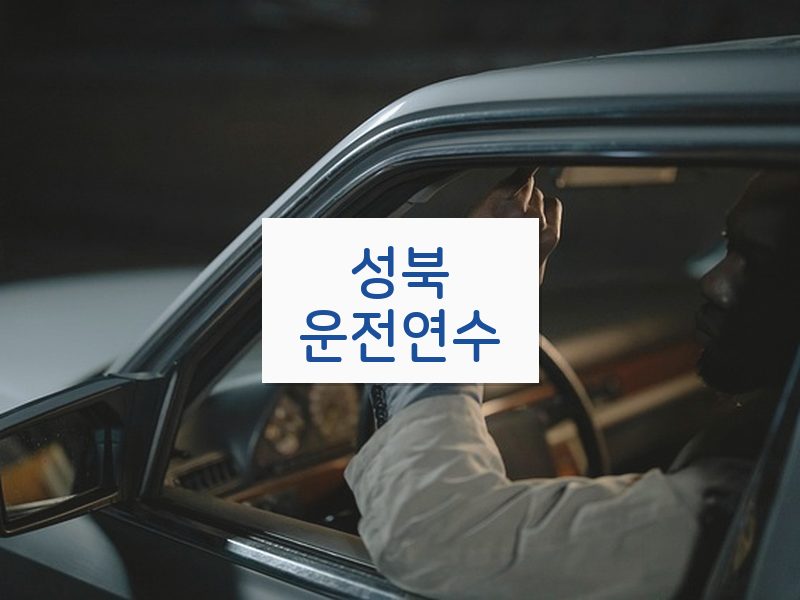성북운전연수 후기