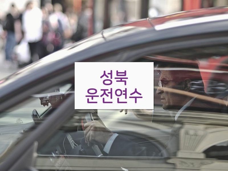 성북운전연수 후기