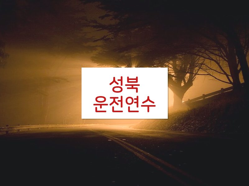 성북운전연수 후기