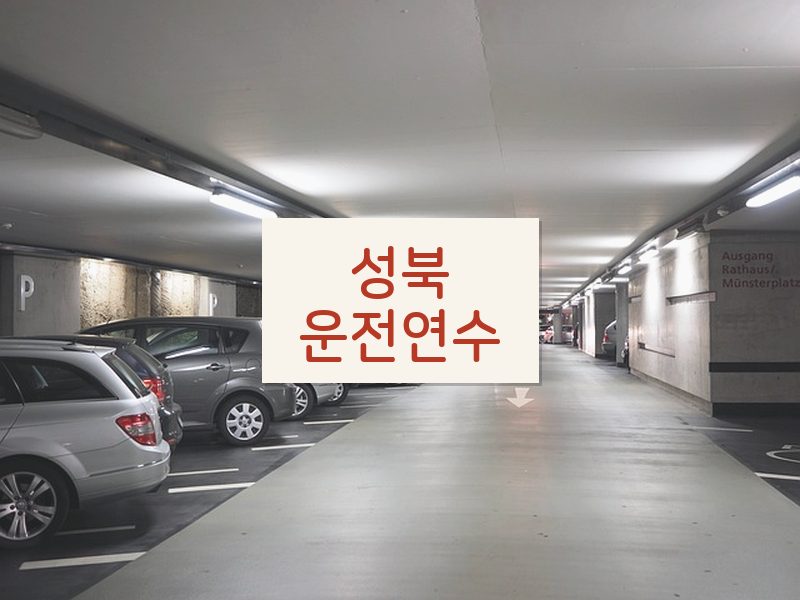 성북운전연수 후기
