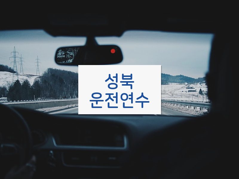 성북운전연수 후기
