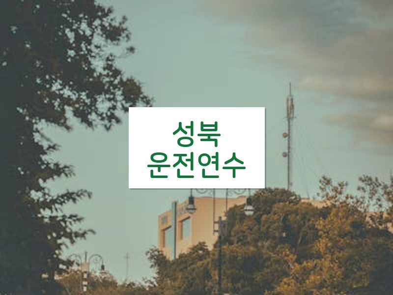 성북운전연수 후기