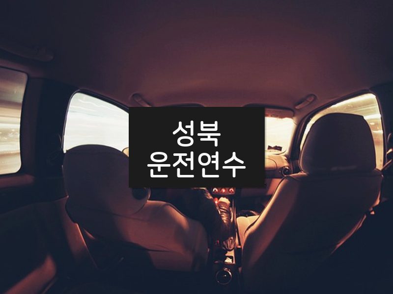 성북운전연수 후기