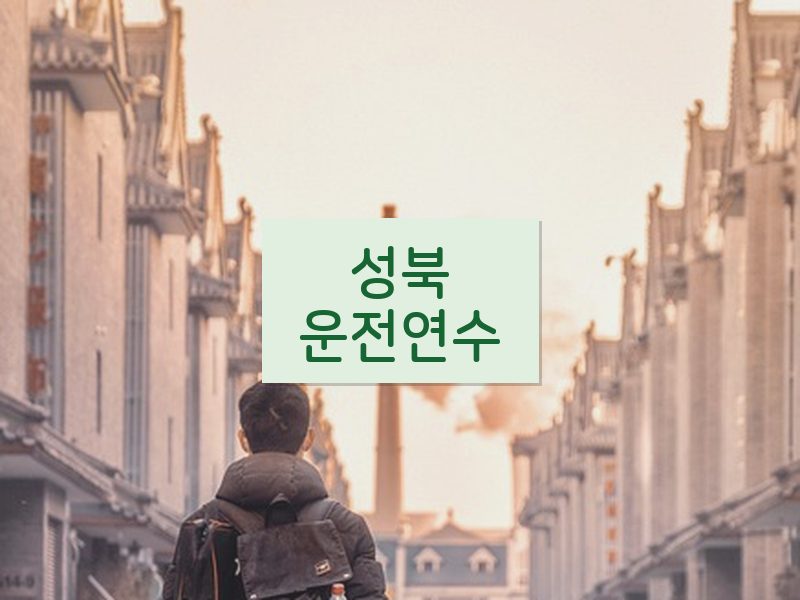 성북운전연수 후기