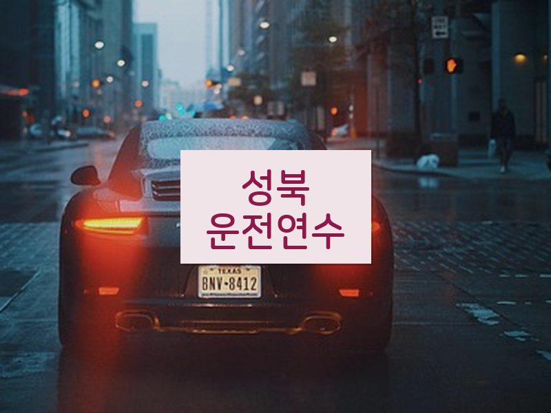 성북운전연수 후기