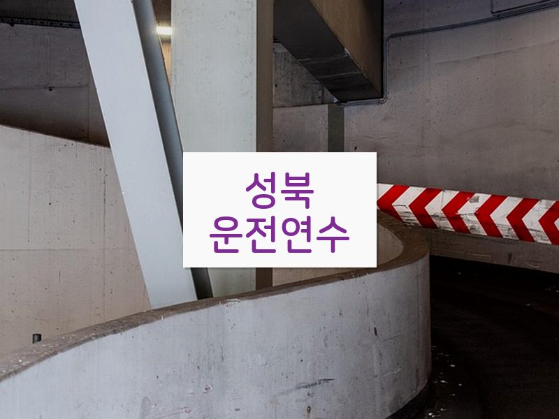 성북운전연수 후기