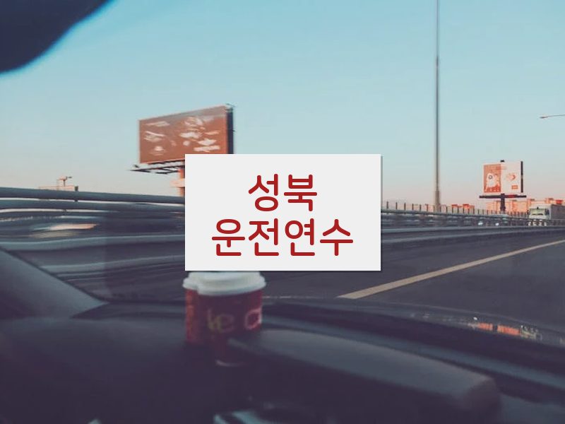 성북운전연수 후기