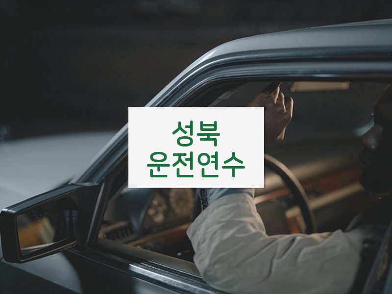 성북운전연수 후기