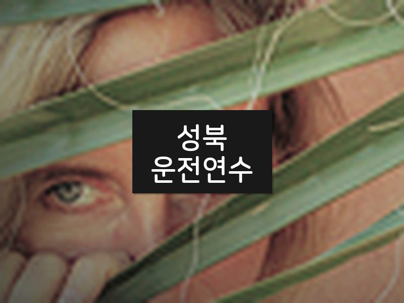 성북운전연수 후기