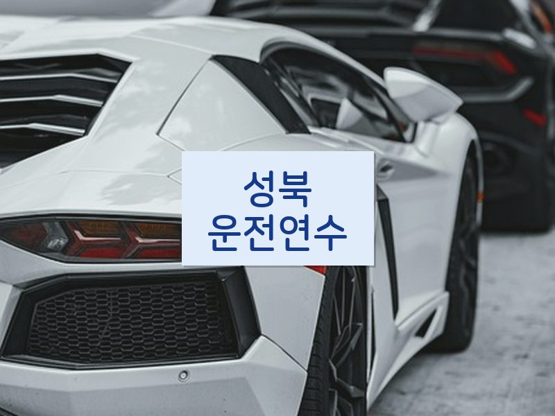성북운전연수 후기