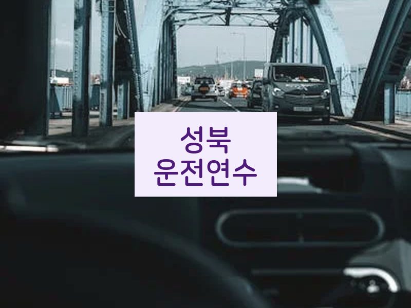 성북운전연수 후기