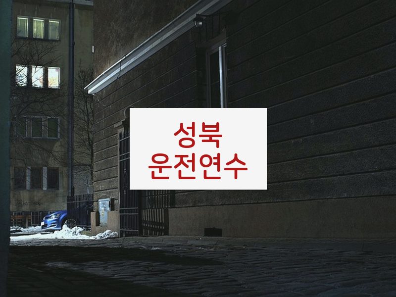 성북운전연수 후기