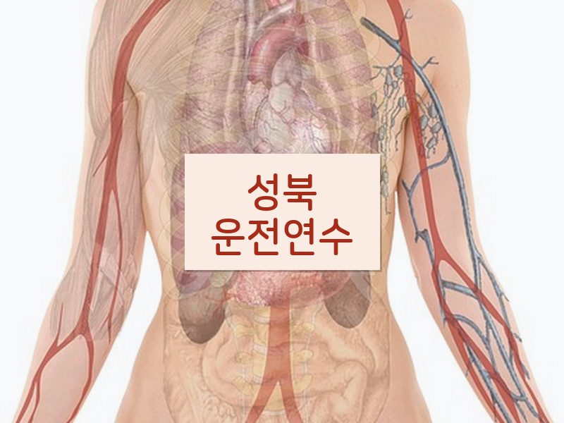 성북운전연수 후기