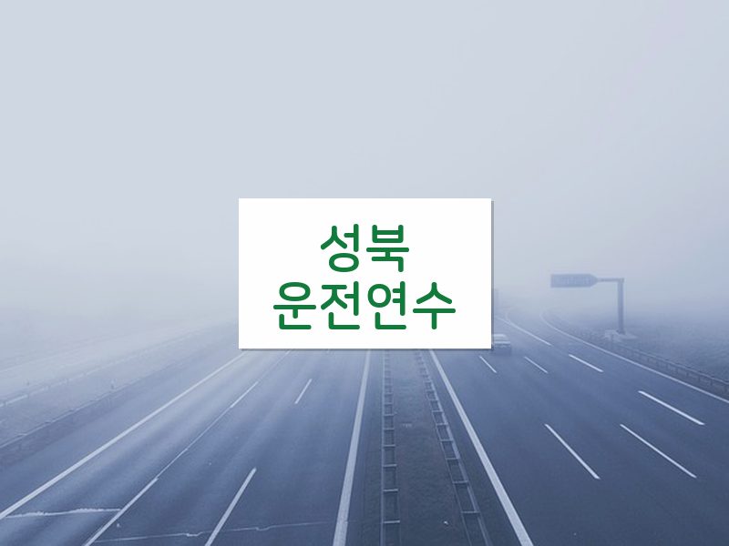 성북운전연수 후기