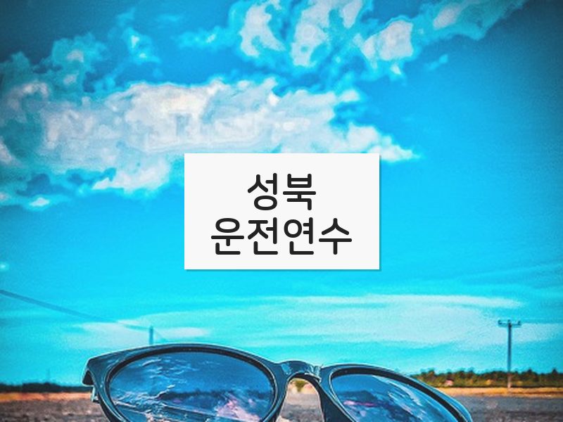 성북운전연수 후기