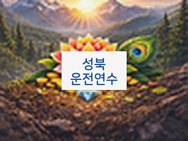 성북운전연수 후기