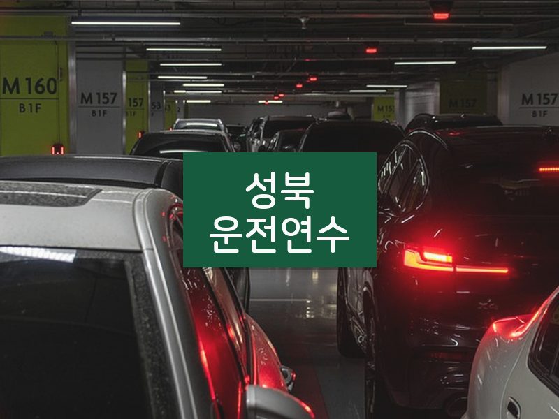 성북운전연수 후기