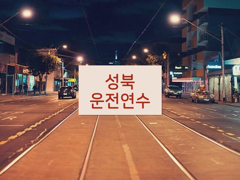 성북운전연수 후기