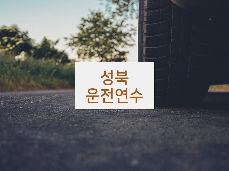 성북운전연수 후기