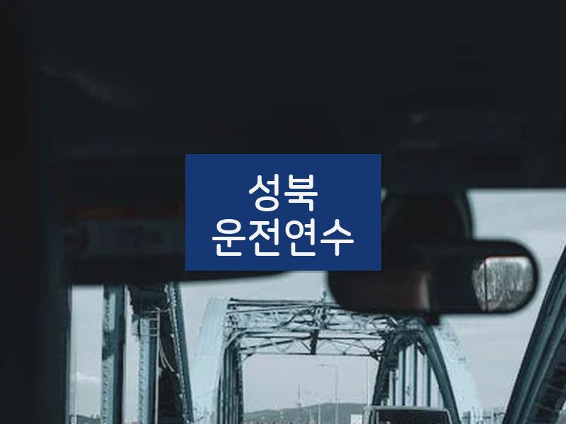 성북운전연수 후기