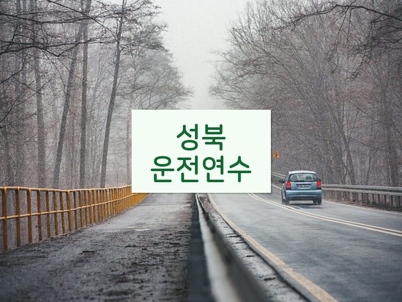 성북운전연수 후기