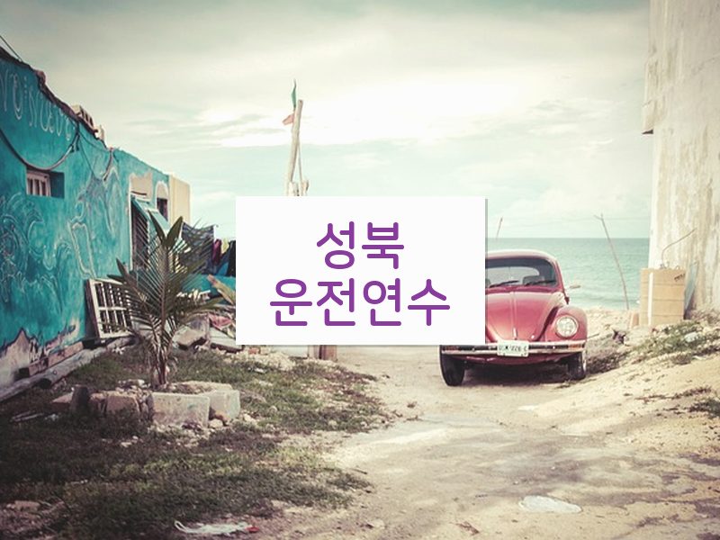 성북운전연수 후기