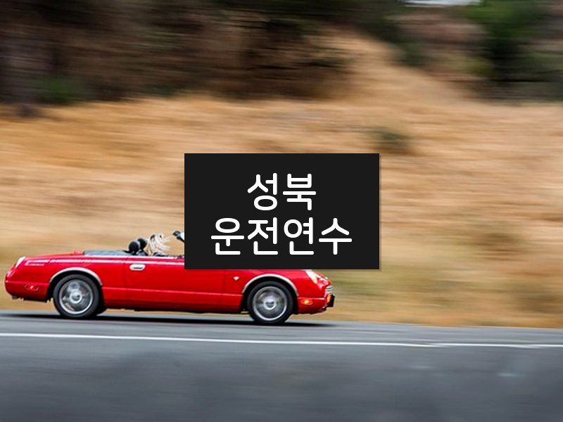 성북운전연수 후기