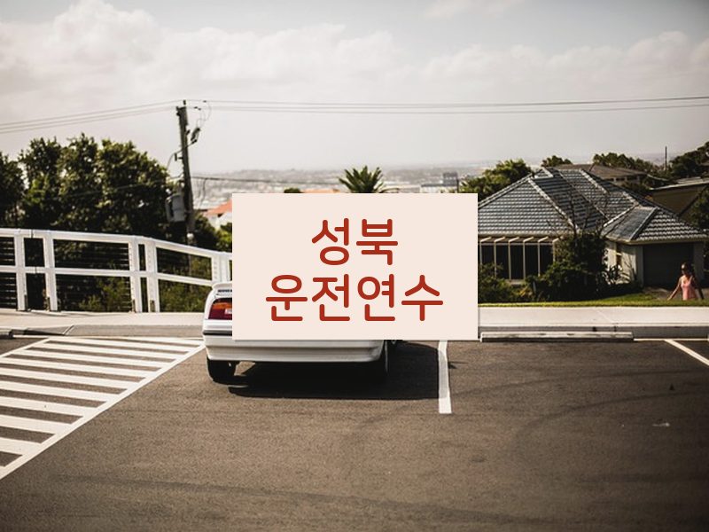 성북운전연수 후기