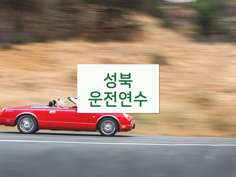 성북운전연수 후기