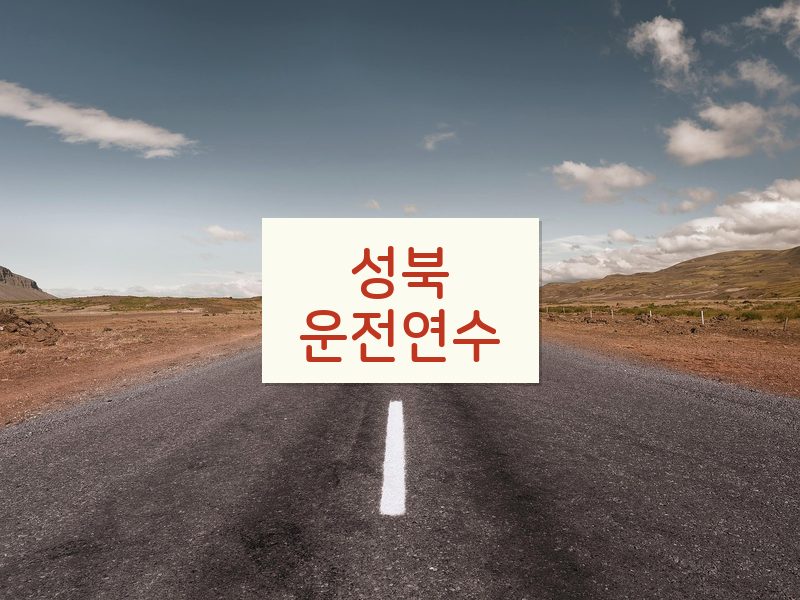 성북운전연수 후기