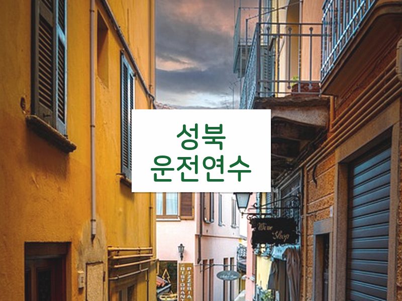 성북운전연수 후기