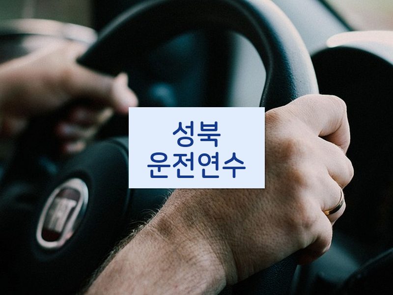 성북운전연수 후기