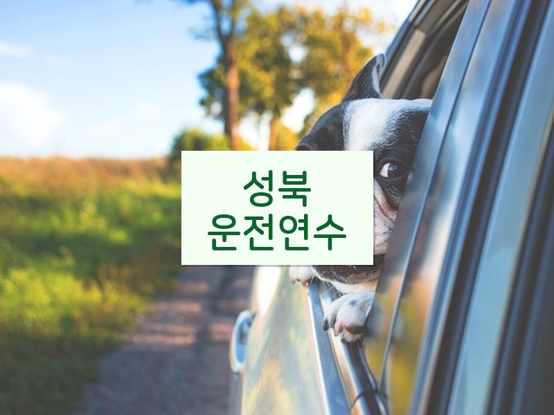 성북운전연수 후기