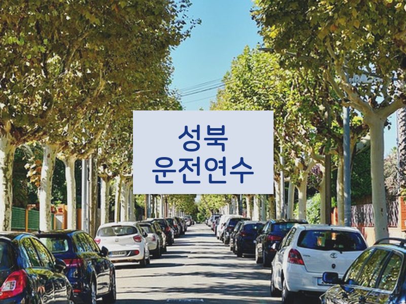 성북운전연수 후기
