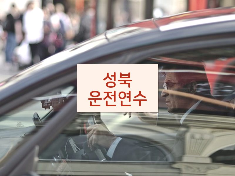 성북운전연수 후기