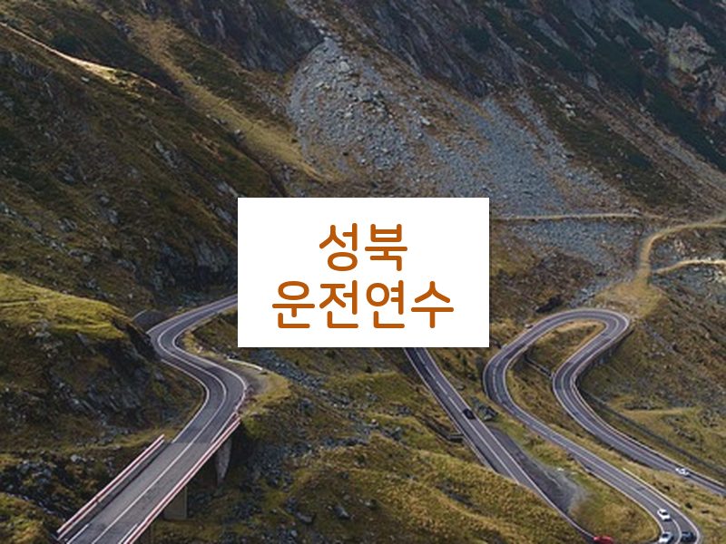 성북운전연수 후기