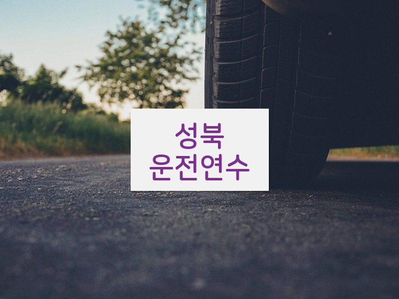성북운전연수 후기
