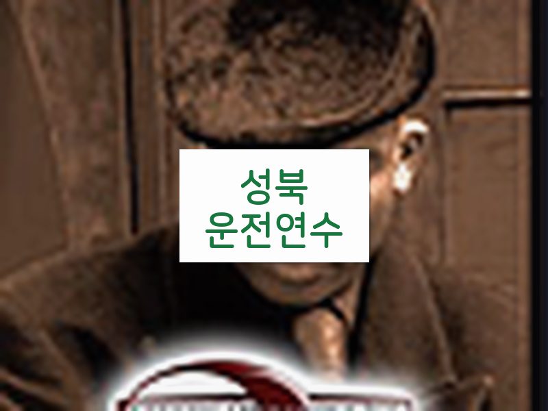 성북운전연수 후기