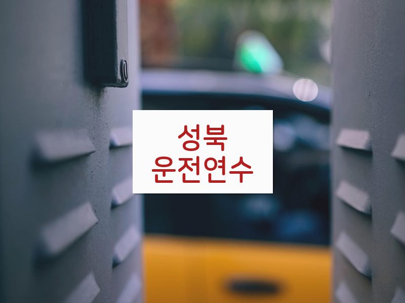 성북운전연수 후기