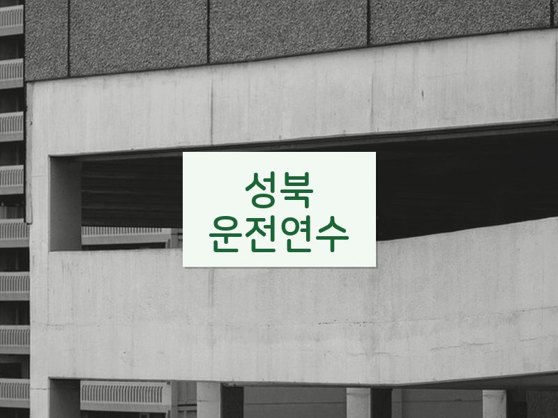 성북운전연수 후기