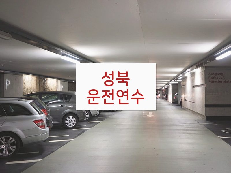 성북운전연수 후기