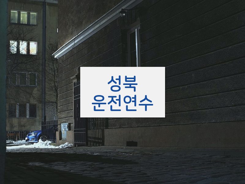 성북운전연수 후기