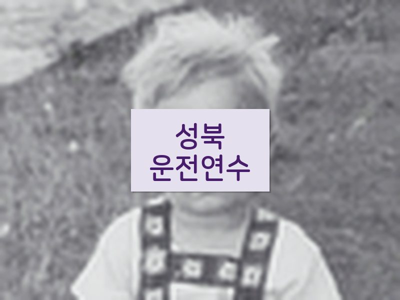 성북운전연수 후기