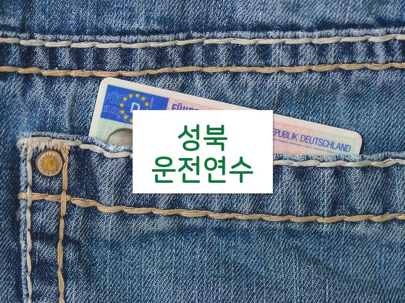 성북운전연수 후기