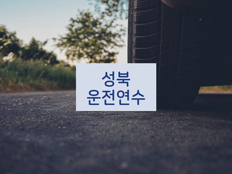성북운전연수 후기