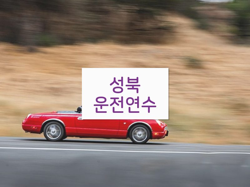 성북운전연수 후기