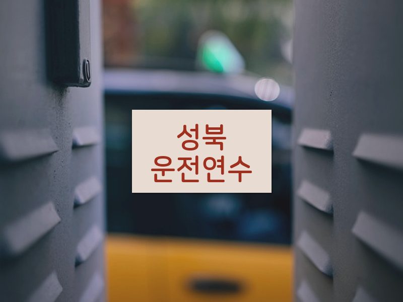 성북운전연수 후기