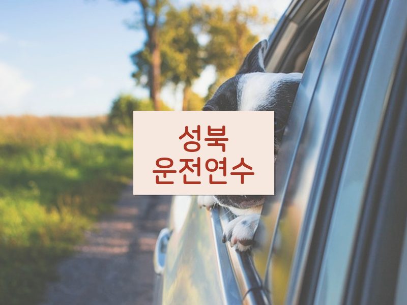 성북운전연수 후기